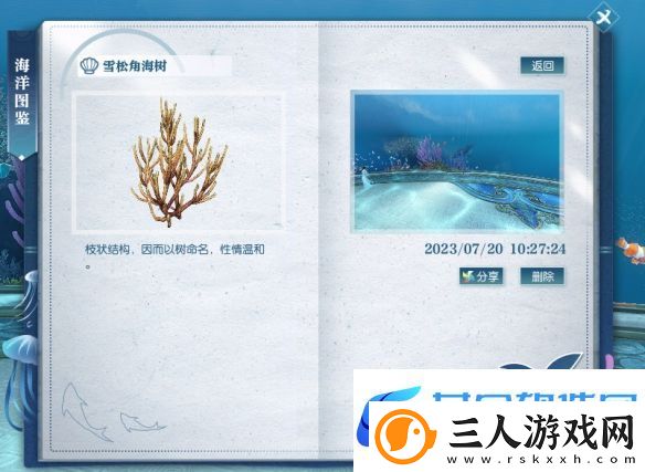 逆水寒雪松角海树在哪