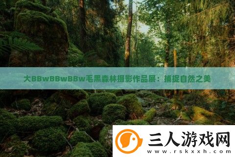 大BBwBBwBBw毛黑森林摄影作品展