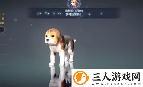 黑色沙漠手游宠物饲料在哪买