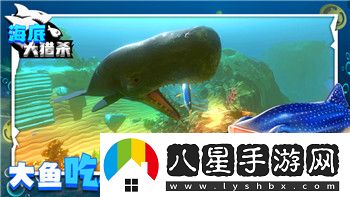 使命召唤手游枪械排名新赛季全面解析