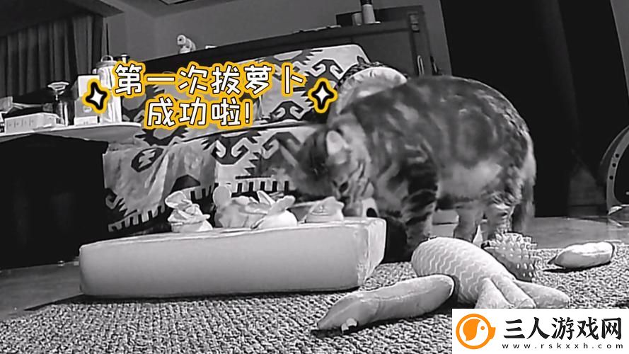 二人世界拔萝卜在线观看