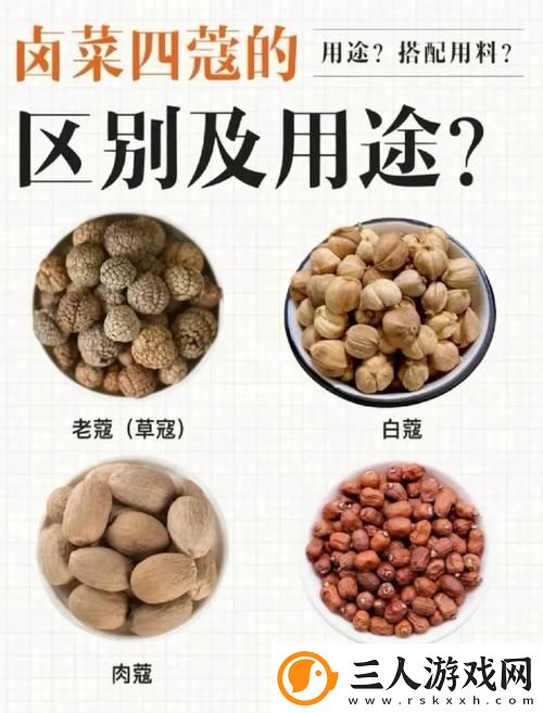 bbbbb和bbbbbb的用法和作用