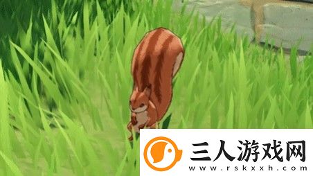 原神松鼠作用介绍