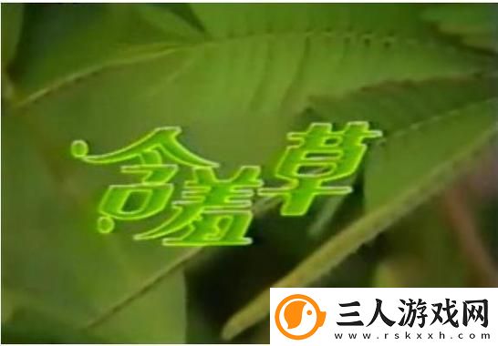 自家影院体验