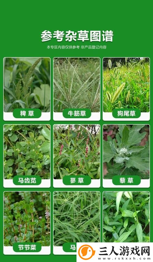 探索嫩草精产一二三产区的独特魅力