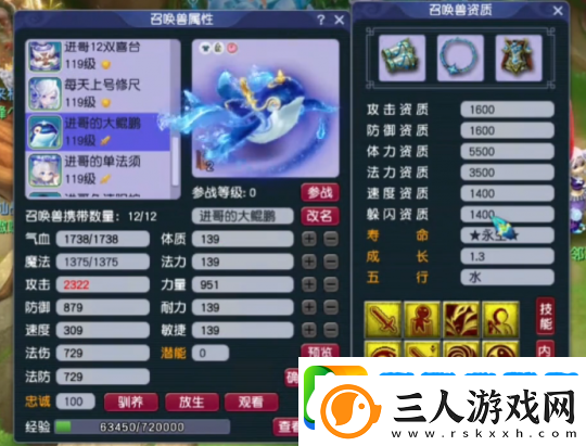 梦幻西游神威天宫神豪装备展示