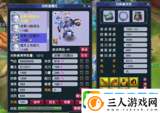 梦幻西游神威天宫神豪装备展示