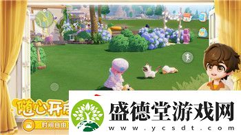 为什么黑暗之魂2打开黑屏原因分析与解决方法详解