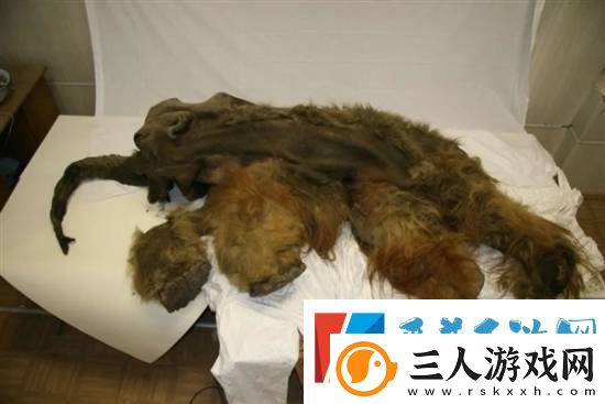 科学家复活了3万年前的种子