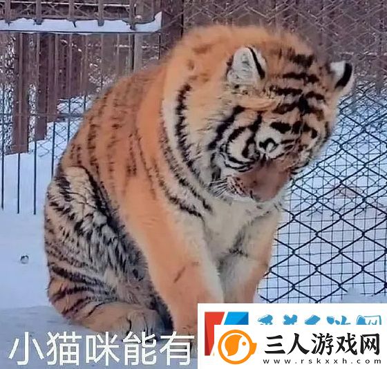 能有什么坏心眼呢是什么梗网络用语