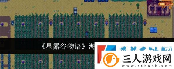 星露谷物语海盗湾怎么进入