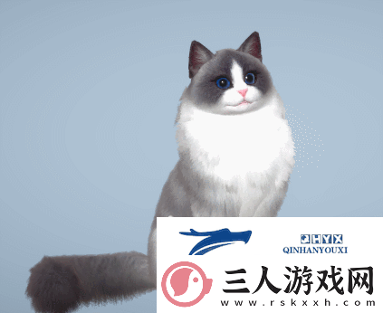 萌宠布偶可爱来袭