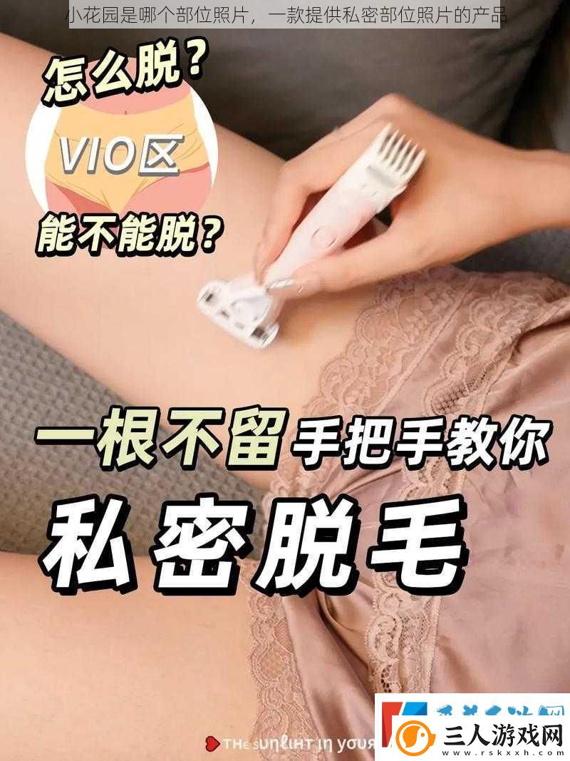 小花园是哪个部位照片