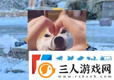 南方沙糖桔是什么梗网络用语