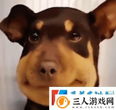 蜜蜂修勾是什么梗网络用语