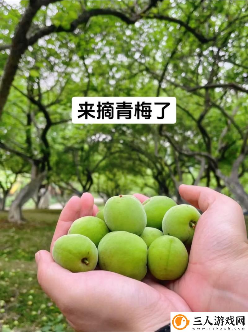 青梅1v2
