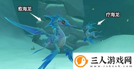 创造与魔法疗海龙饲料怎么做