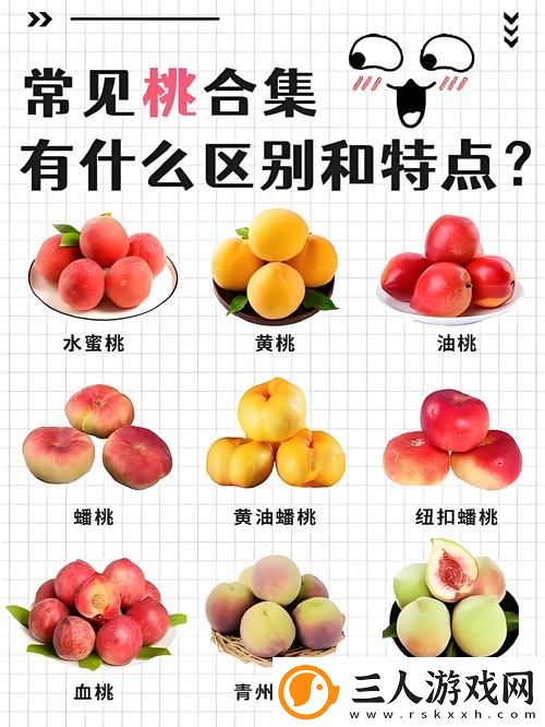 无人一区二区区别是什么红桃7