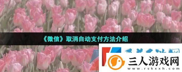 微信自动支付在哪取消
