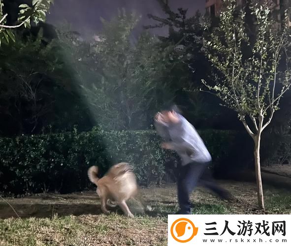 人狗大战5免费在线观看完整版火爆上线