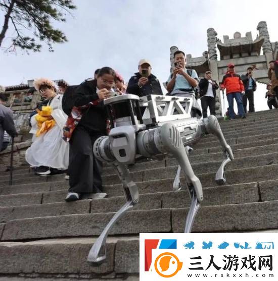 机器狗在泰山“入职”