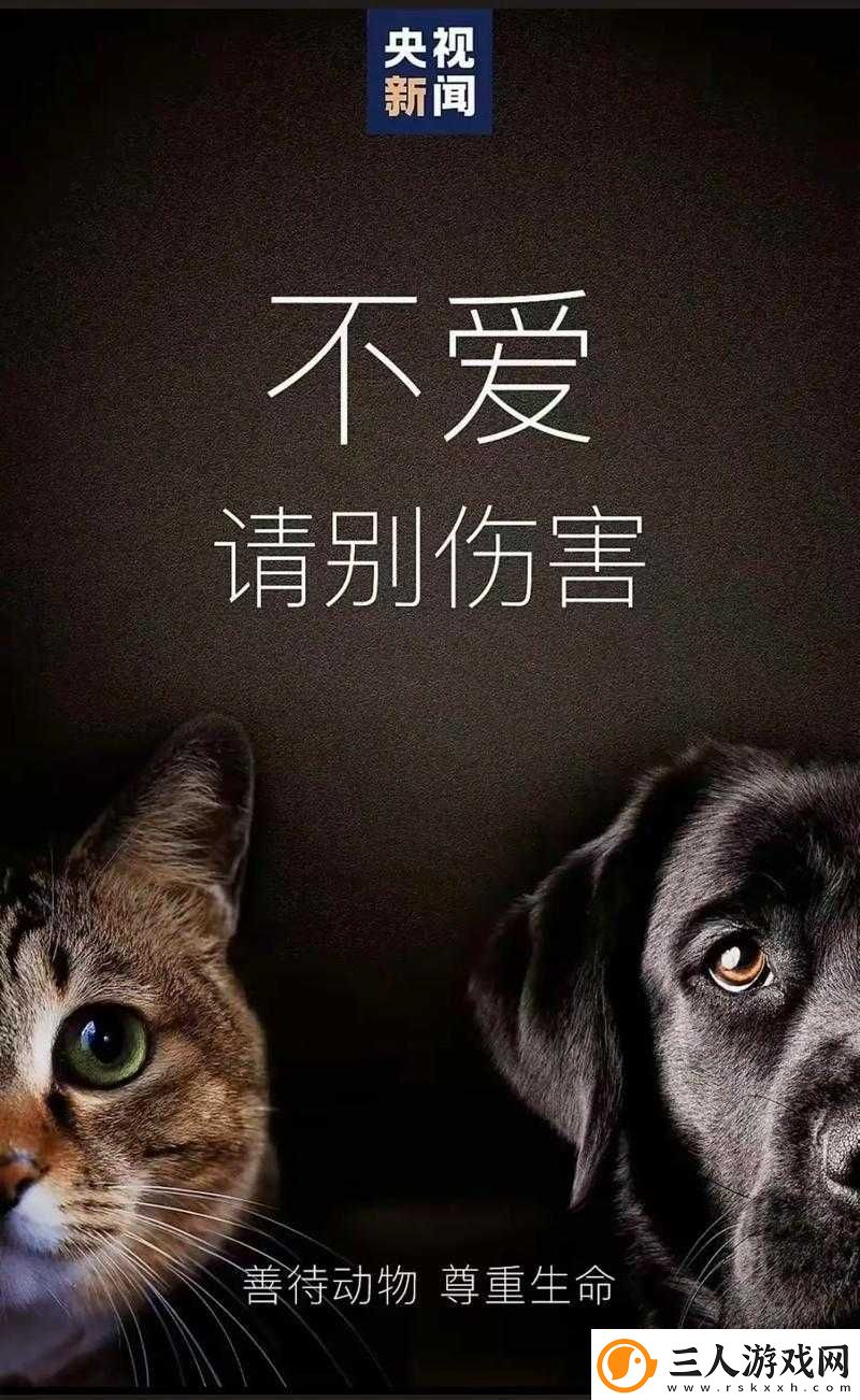 人与动物的关系