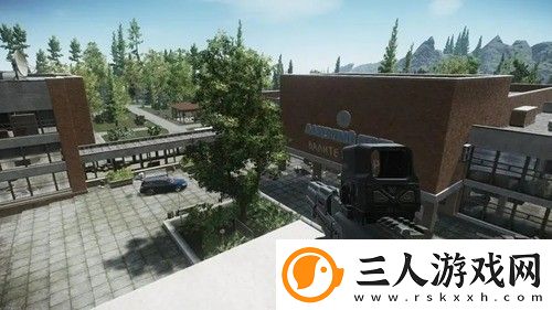 逃离塔科夫黄针激素怎么使用