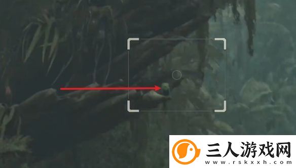 怪物猎人荒野萨明的研究报告怎么做