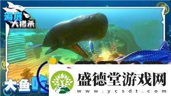 命运战歌最佳阵容搭配攻略助你轻松制胜的最强组合