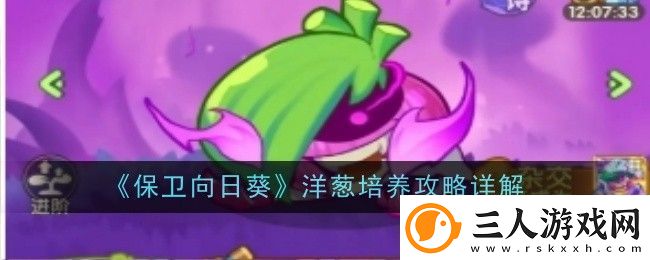 保卫向日葵洋葱怎么培养