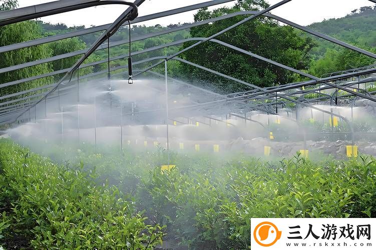 探索“优质jing液灌溉系统”的未来农业之路