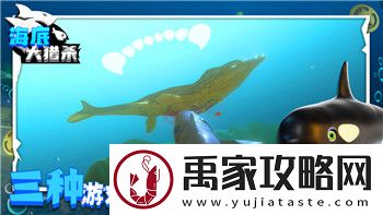 王国纪元一般6