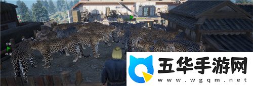 把家变成动物园