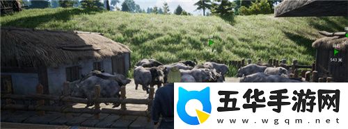 把家变成动物园