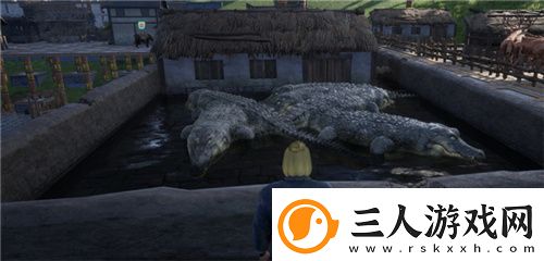 把家变成动物园