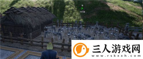 把家变成动物园