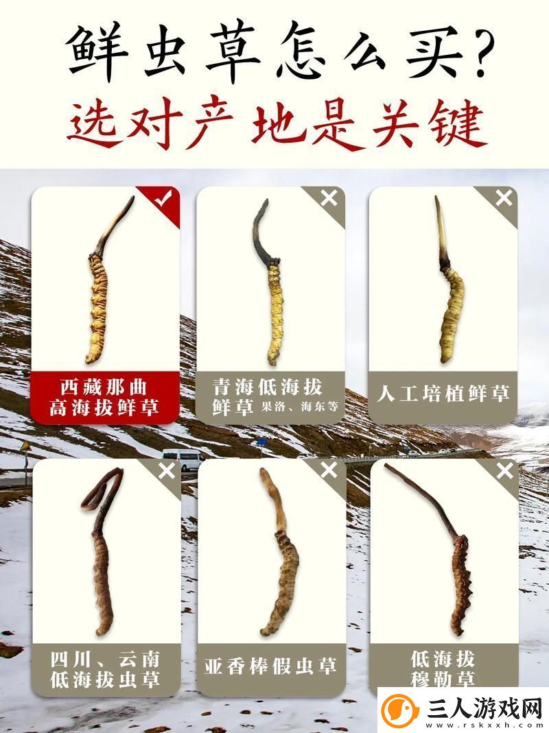 嫩草精产一二三产区