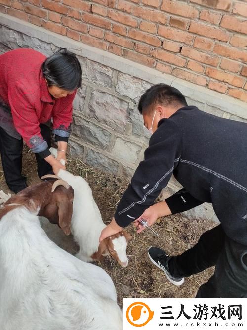 人与畜禽共性行为的心理学更新了