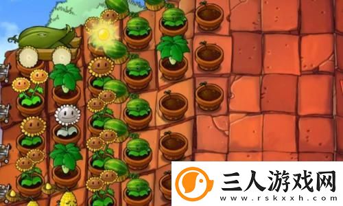 探索双点博物馆埃尔斯博士展品摆放攻略