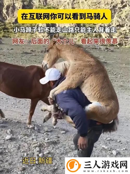 在“zoom动物人配人马”的奇幻世界中