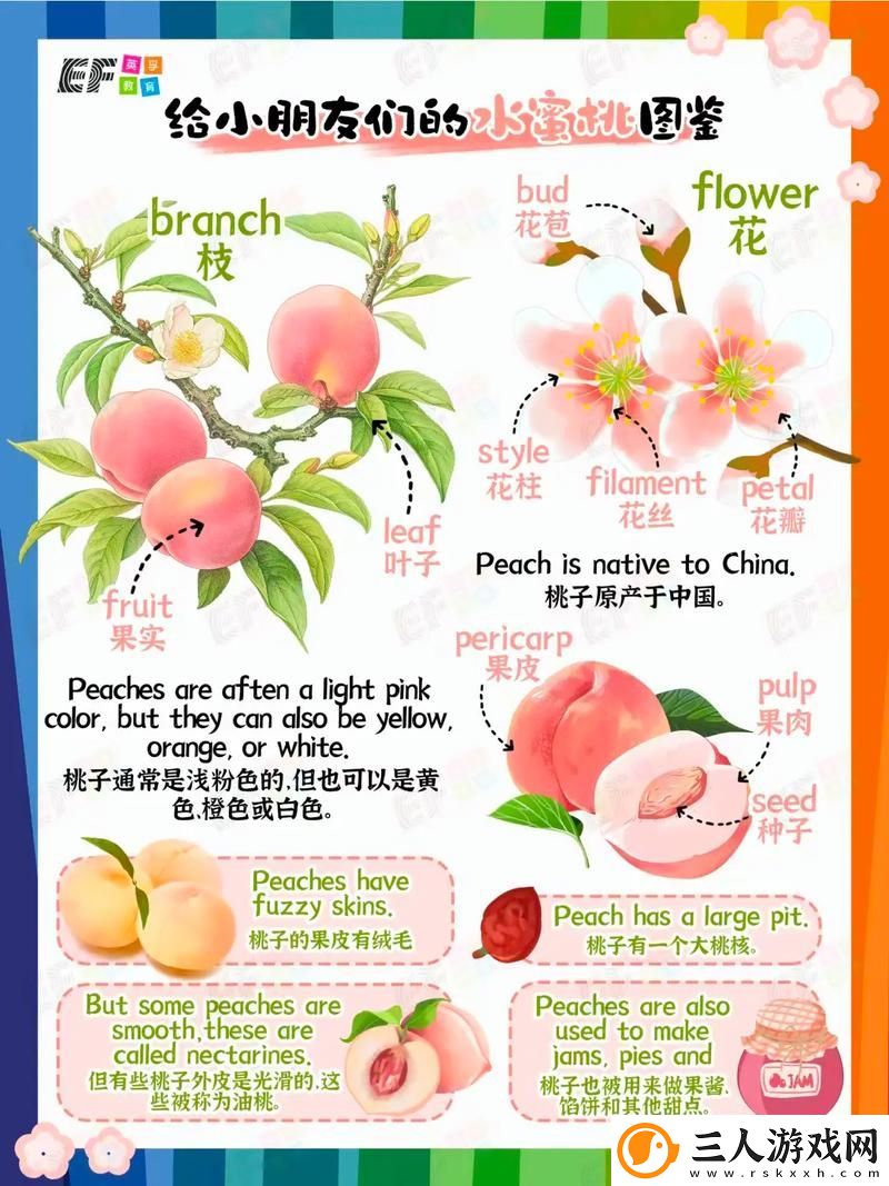 美丽的桃子2意大利语来源