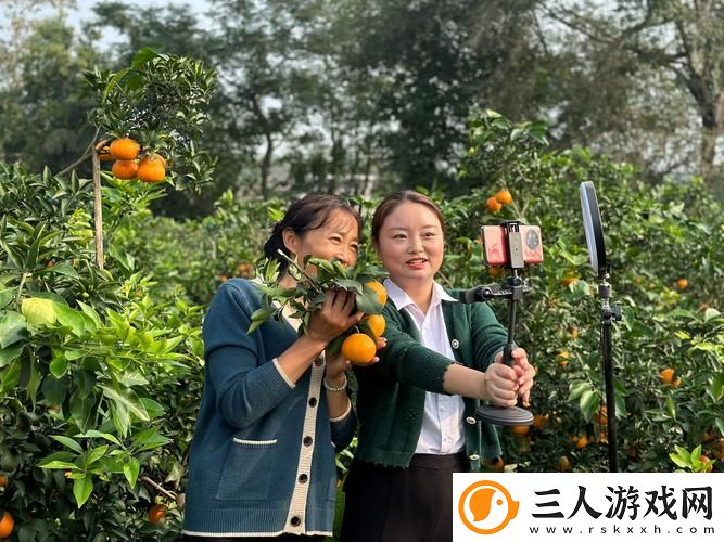 桔子直播