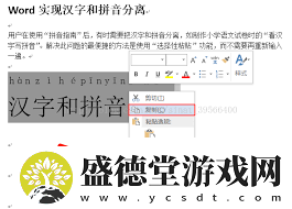 word如何只保留拼音剔除汉字word提取拼音的方法