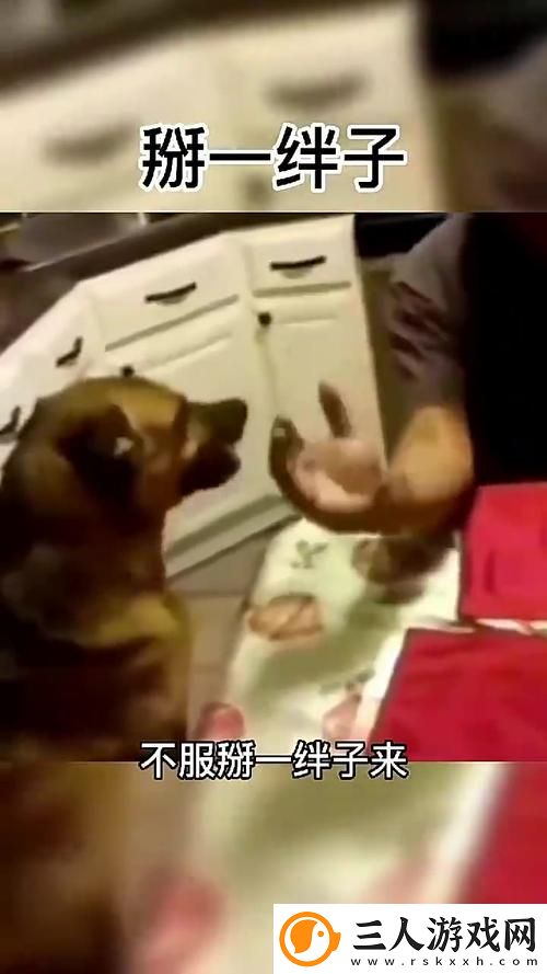 人狗大战2高清正版免费