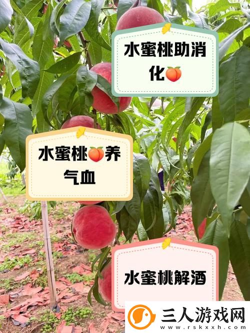 美丽的水蜜桃2最经典的一句