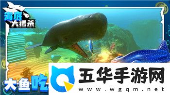 星辰奇缘以前的号找不到了怎么办