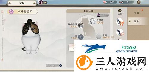 天涯明月刀手游猫咪怎么繁育