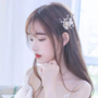 舞姬直播